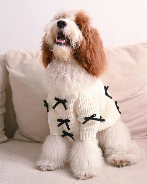 dogblacksweater01.jpg