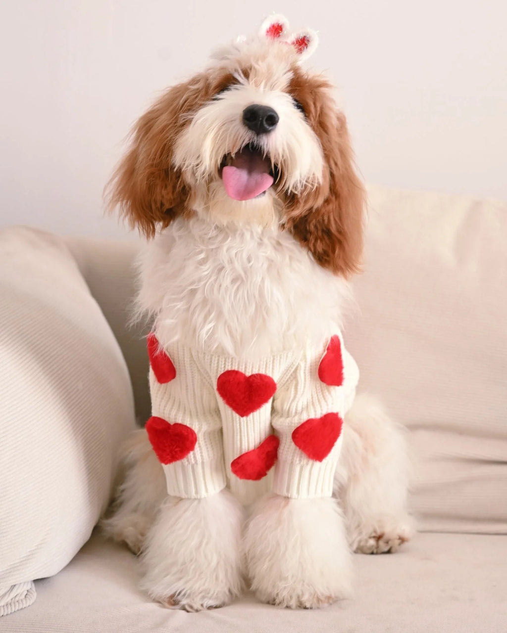 lovedogsweater01.jpg