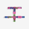 melted-h-harness-main-1.jpg