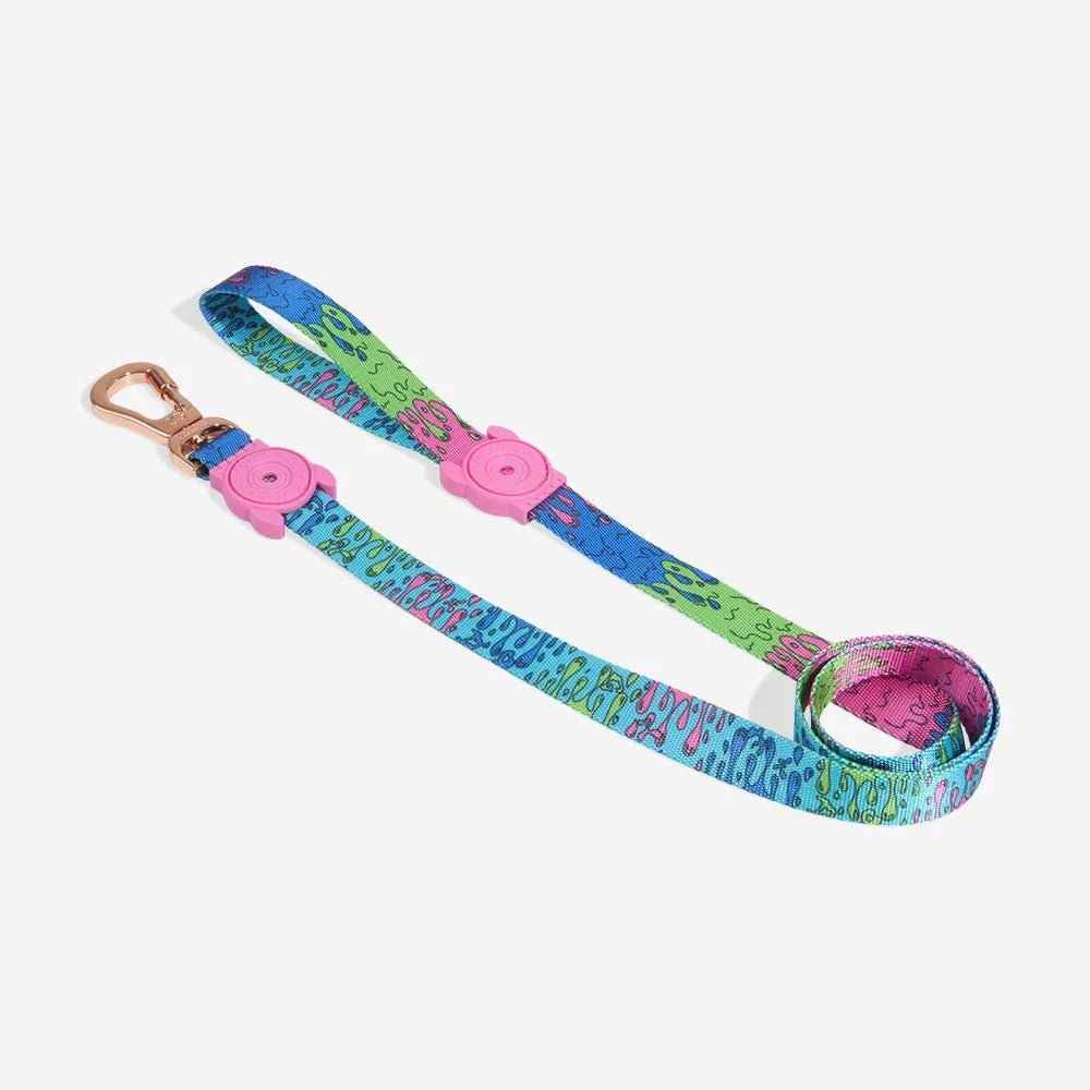 melted-leash-main-3.jpg