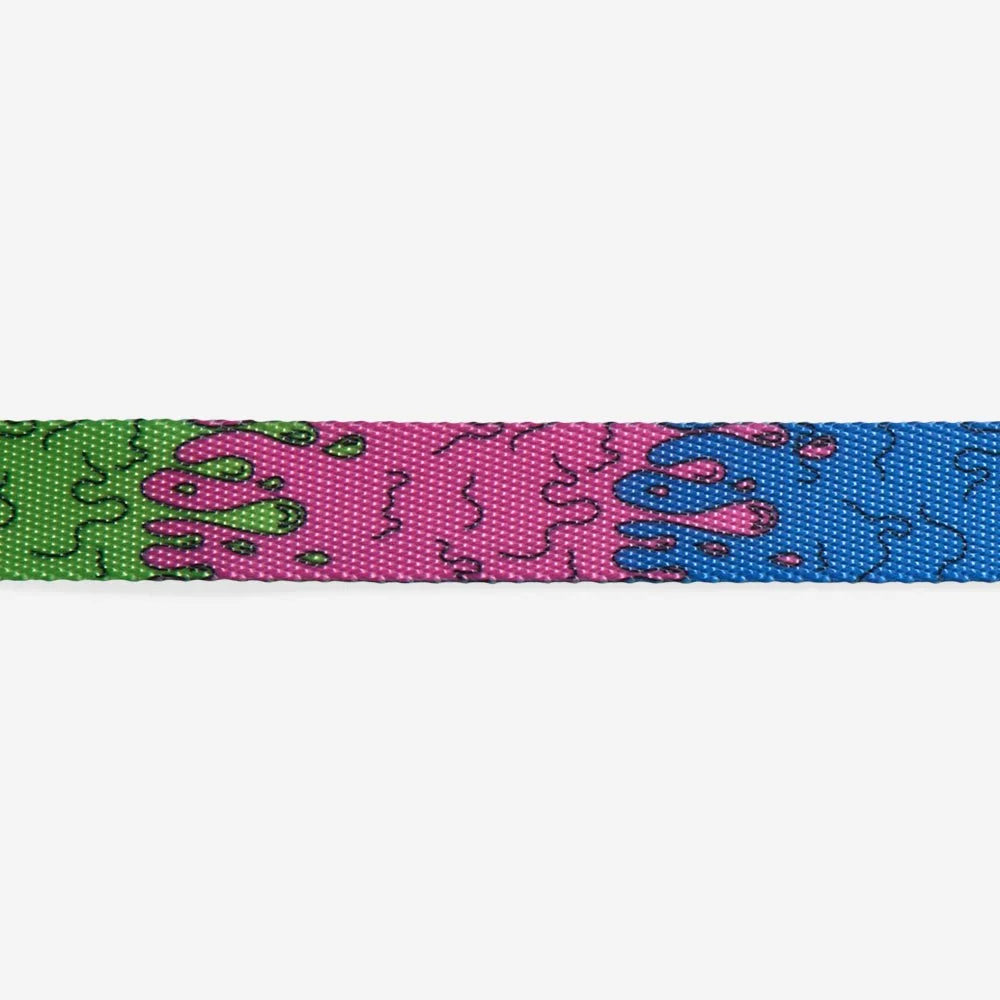 melted-leash-main-6.jpg