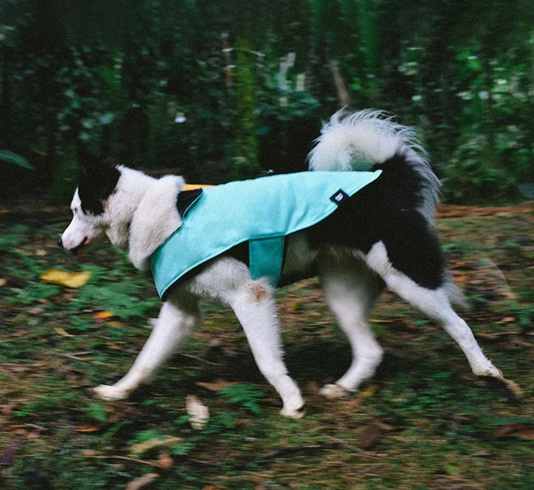 zeedog-coat-mint-mo-carrossel-2.jpg