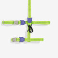 zeedog-cat-harness-nox-lumen_main-1.jpg