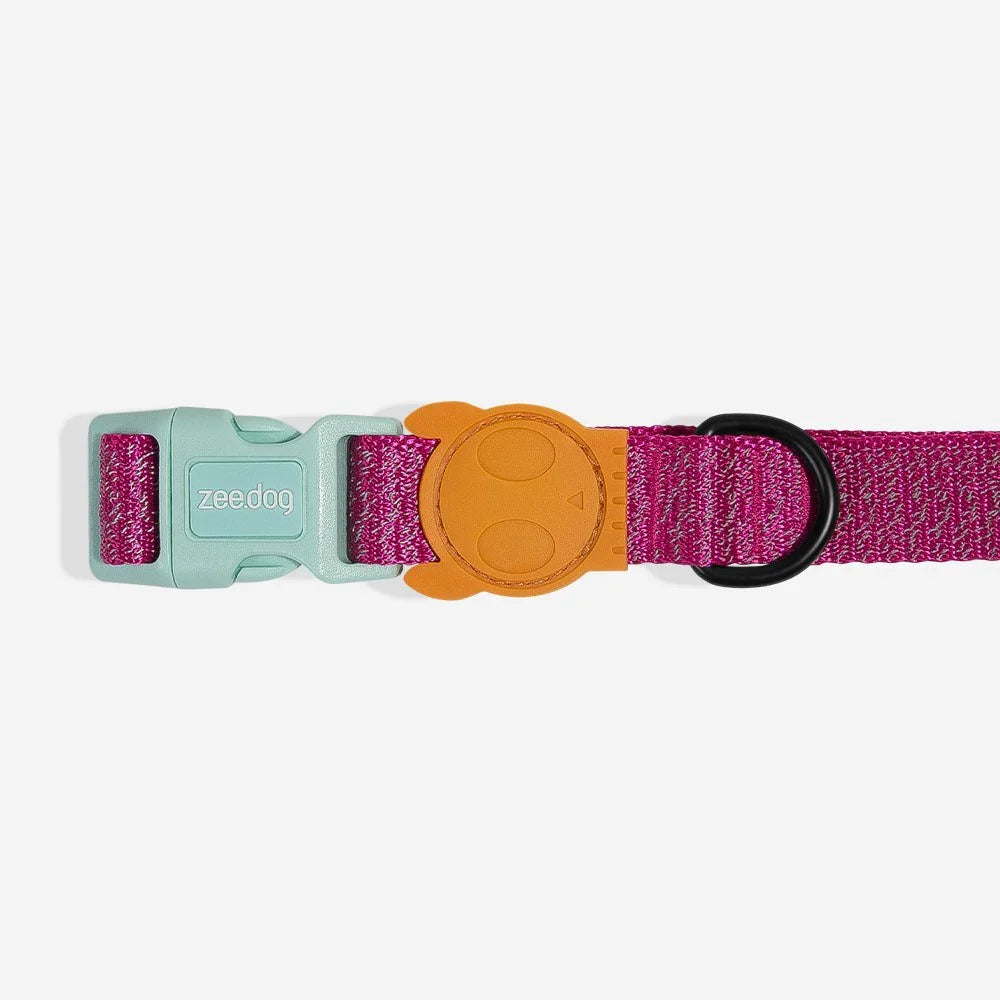 zeedog-dog-collar-nox-sidus_main-2.jpg