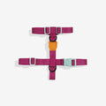 zeedog-h-harness-nox-sidus_main-1.jpg