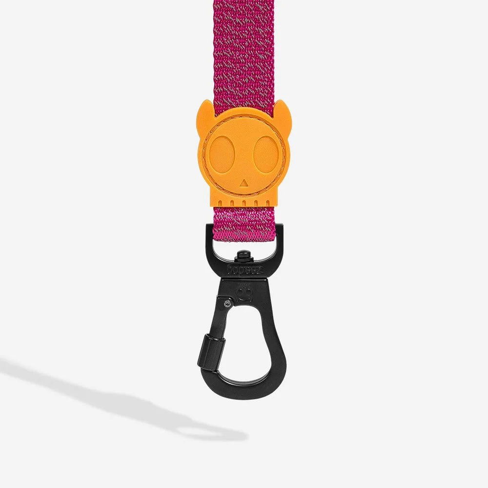 zeedog-dog-leash-nox-sidus_main-5.jpg