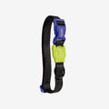 zeedog-dog-collar-nox-_main-1.jpg
