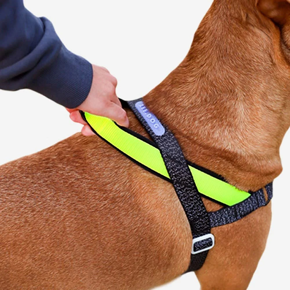 zeedog-softerwalk-harness-nox_main-3.jpg