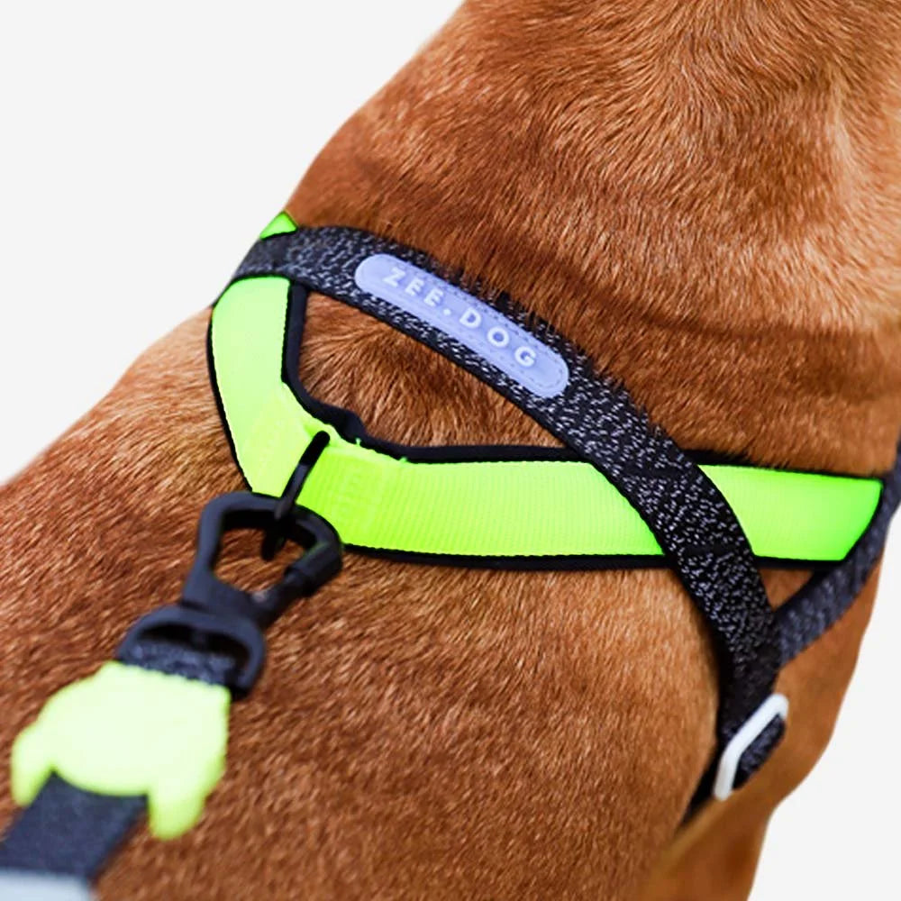 zeedog-softerwalk-harness-nox_main-4.jpg