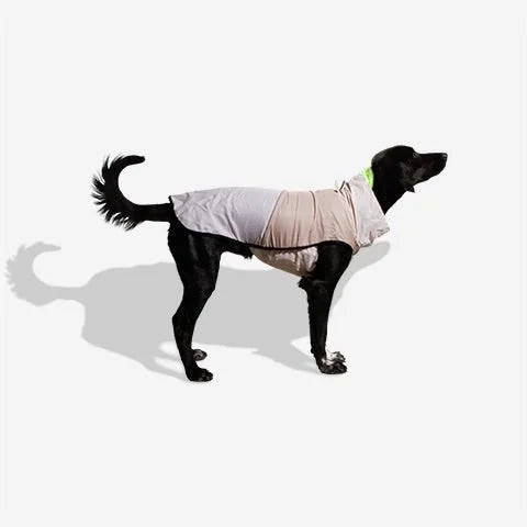 hover_zeedog-rain-coat-oatmeal.jpg