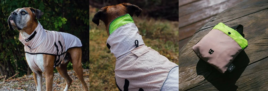 zeedog-rain-coat-oatmeal-dk-carrossel-1.jpg