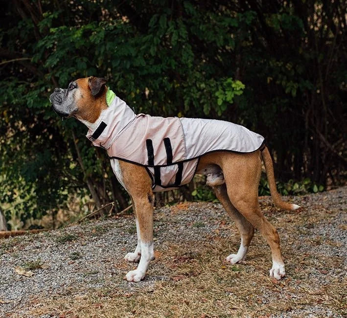 zeedog-rain-coat-oatmeal-mo-carrossel-2.jpg