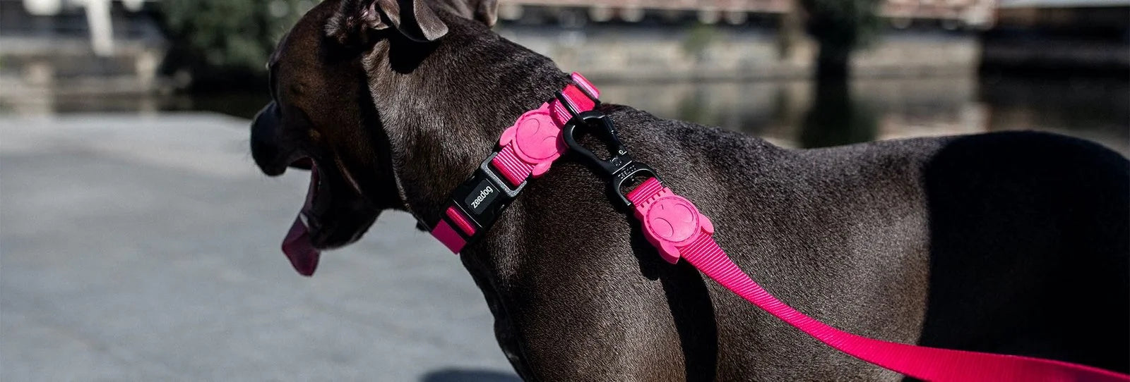 zeedog-adjustable-air-mesh-harness-pink-led-dk-carrossel-3.jpg