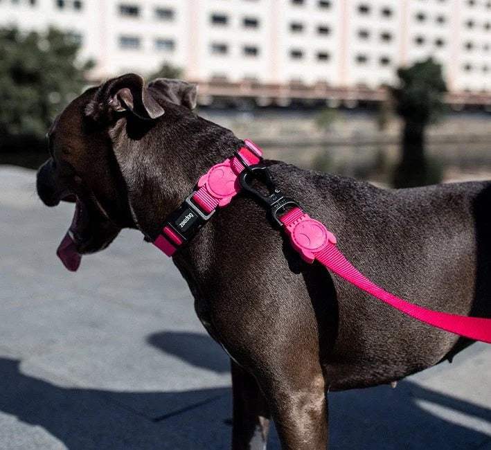 zeedog-adjustable-air-mesh-harness-sand-mo-carrossel-3.jpg