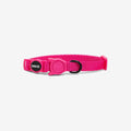 zeedog-cat-collar-pink-led_main-1.jpg