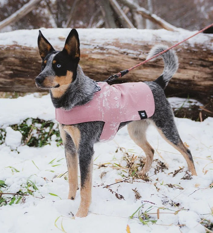 zeedog-coat-pink-mo-carrossel-1.jpg