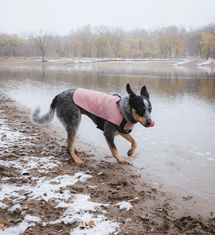 zeedog-coat-pink-mo-carrossel-4.jpg