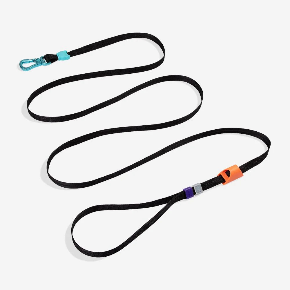 Segundo-longleash-main-1.jpg