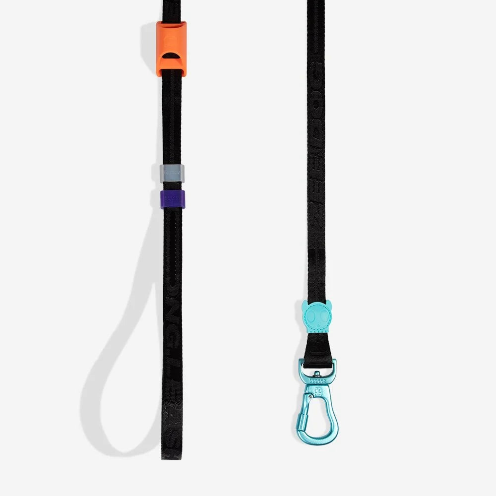 Segundo-longleash-main-4.jpg