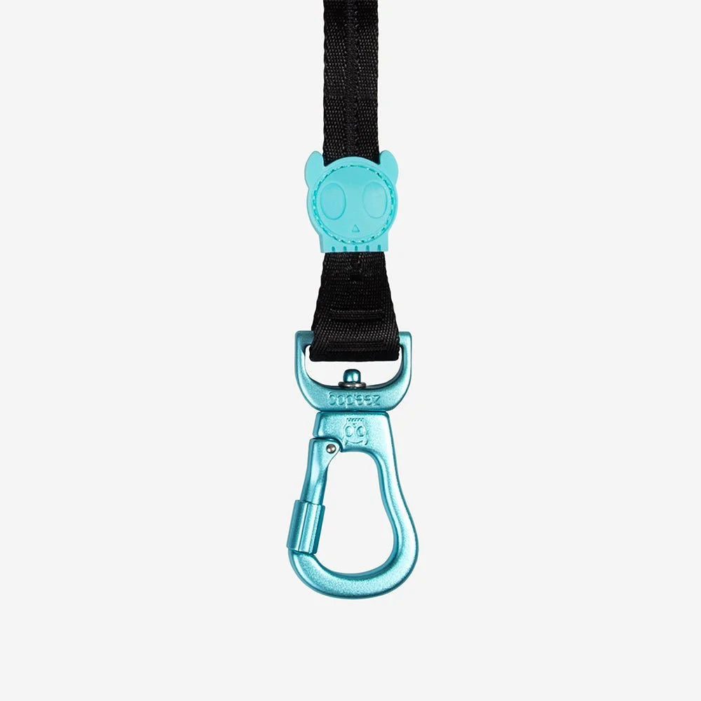 Segundo-longleash-main-6.jpg
