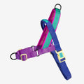 zeedog-soft-walk-harness-shockwave_main-1.jpg
