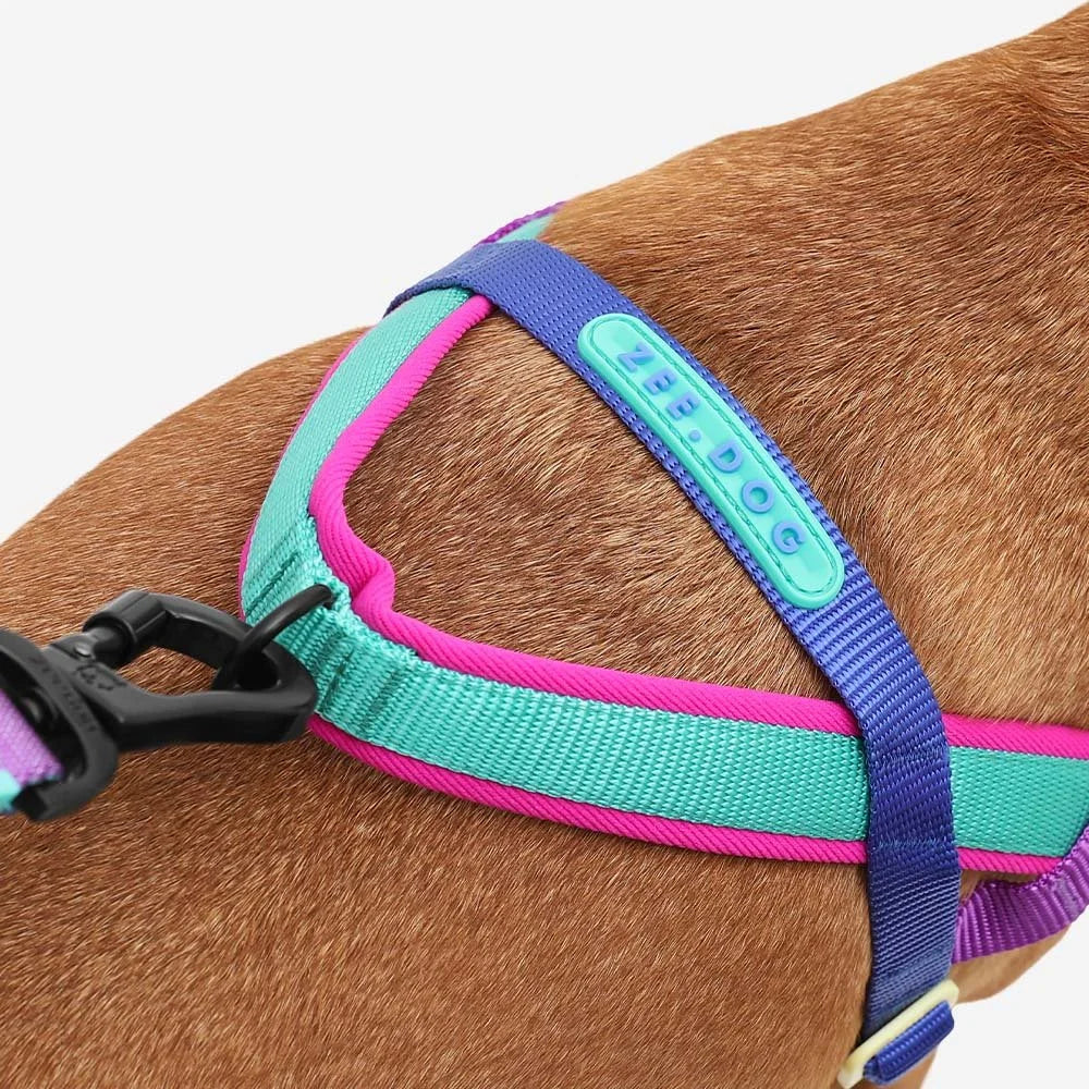 zeedog-soft-walk-harness-shockwave_main-3.jpg