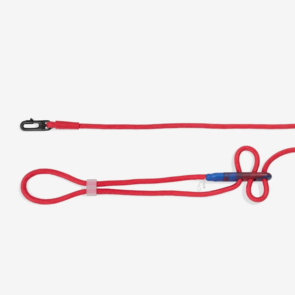 zeedog-dog-leashes-hands-free-leash-marvel-spider-man_main-2.jpg