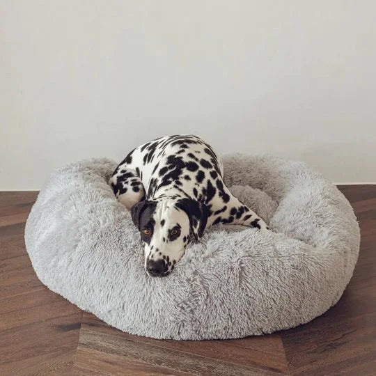 calming_dog_bed_800x_copy1_540x_a7d32223-f044-49f4-9865-130052425e44.jpg