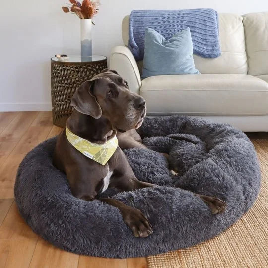 DogBeds-CalmingDogBed_Covers10_540x_40701169-a2c1-402c-af0a-245dbd82f236.jpg