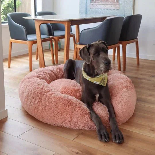 DogBeds-CalmingDogBed_Covers11_540x_1c5062a1-04cf-4f63-b743-35e7dfcf1de8.jpg