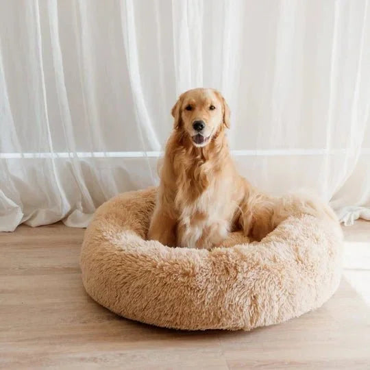 DogBeds-CalmingDogBed_Covers12_540x_64fbf258-bd72-4ea0-ab68-1ba5ff931b56.jpg