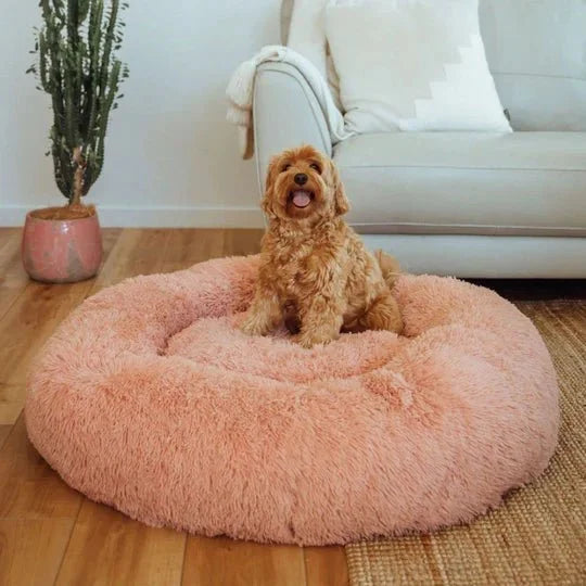 DogBeds-CalmingDogBed_Covers4_540x_4033e261-4b66-4c67-9c4d-634ecd1a0023.jpg