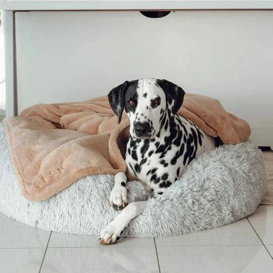 Blankets-DoubleWeightedLuxuryBlanket7_540x_73f9861d-591e-4eb6-93cd-80cdc83e6287.jpg