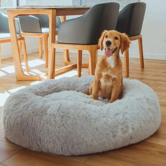 DogBeds-CalmingDogBed_Covers3_540x_1cf3a469-6b00-46a9-a82c-961c6f41a609.jpg