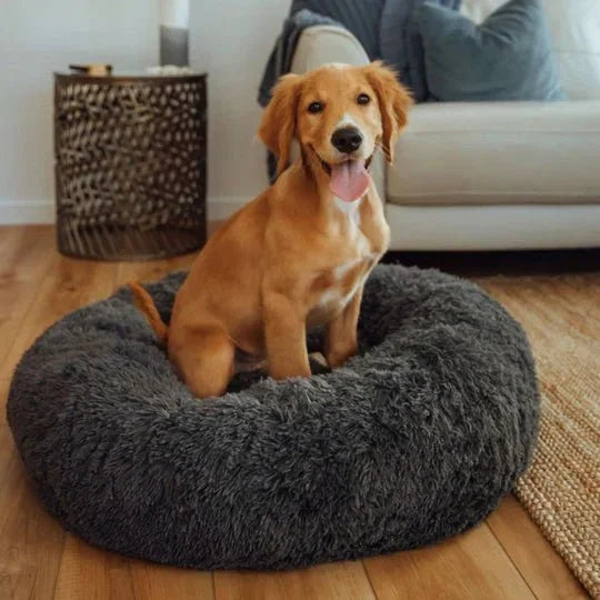 DogBeds-CalmingDogBed_Covers9_540x_c9650d79-9b54-431b-ad9c-f07ca41f4a4a.jpg