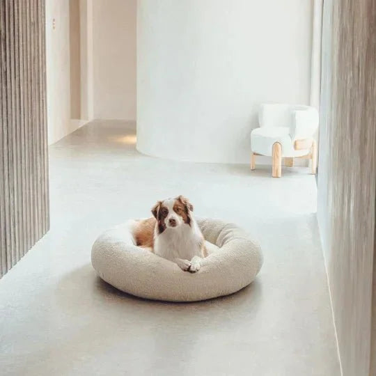 DogBeds-LuxuryBoucleDogBed_Covers3_540x_3205f3e2-3c40-4ea0-bb8a-084c33acbf41.jpg