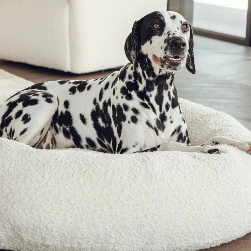 DogBeds-LuxuryBoucleDogBed_Covers5_1800x1800_4949daea-e990-4698-87b2-53aef4e610b1.jpg