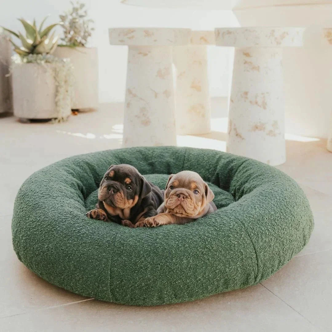 DogBeds-LuxuryBoucleDogBed_Covers7_1800x1800_80d45777-f39c-4cc7-9c7a-29581e7b8d08.jpg