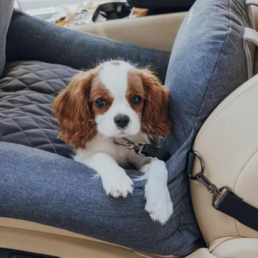 DogBeds-PremiumDogCarBed1.jpg