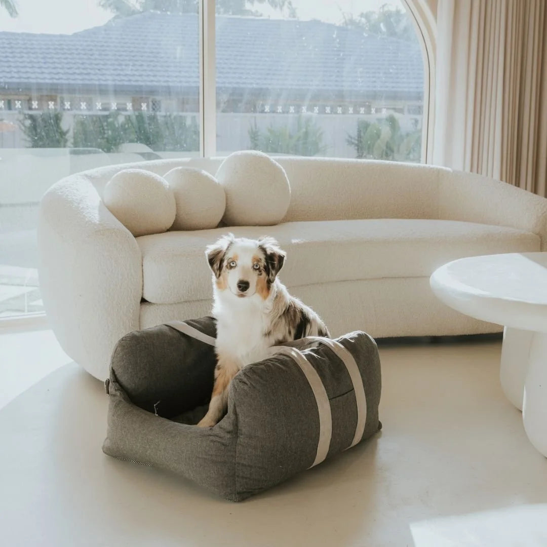 DogBeds-PremiumDogCarBed10.jpg