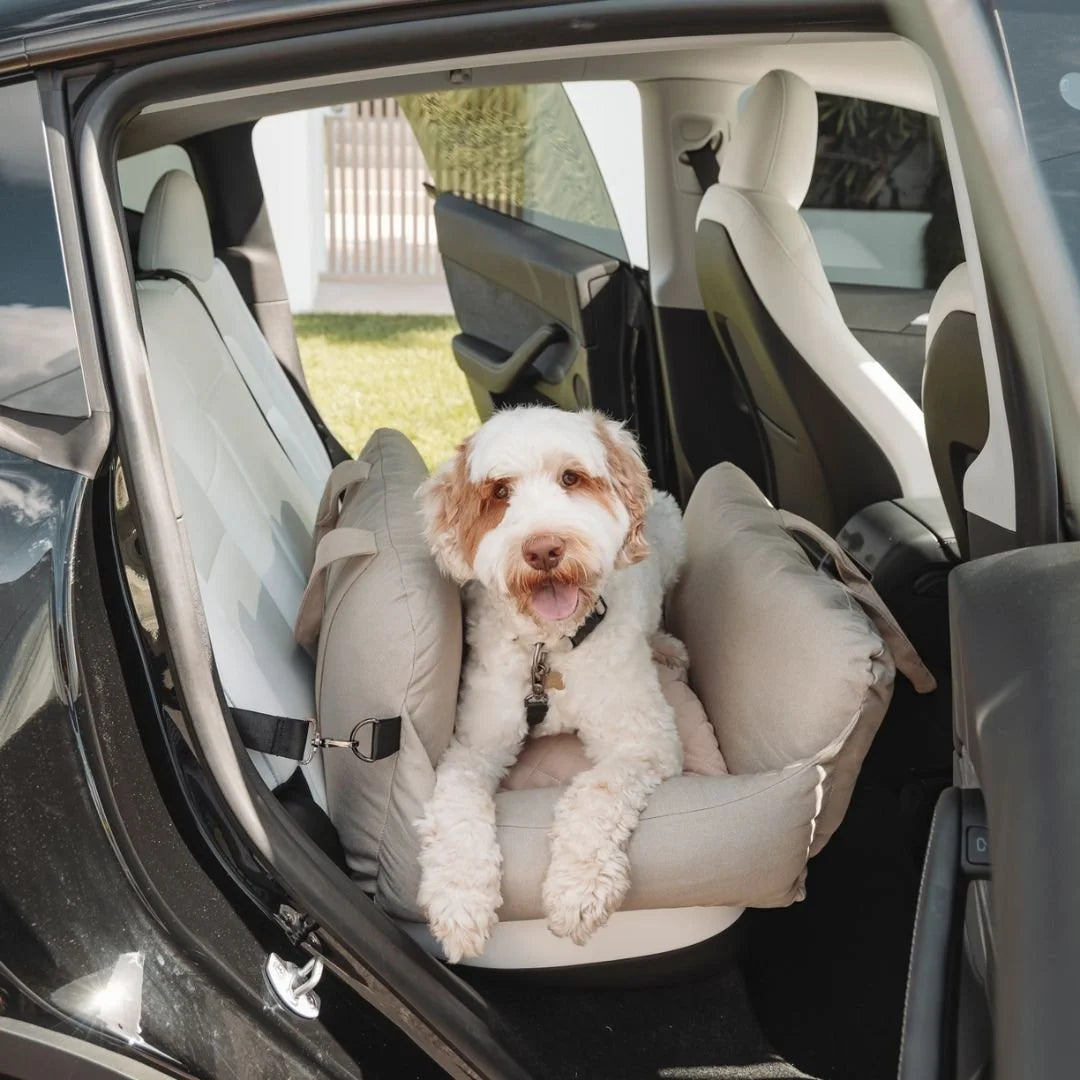 DogBeds-PremiumDogCarBed6.jpg