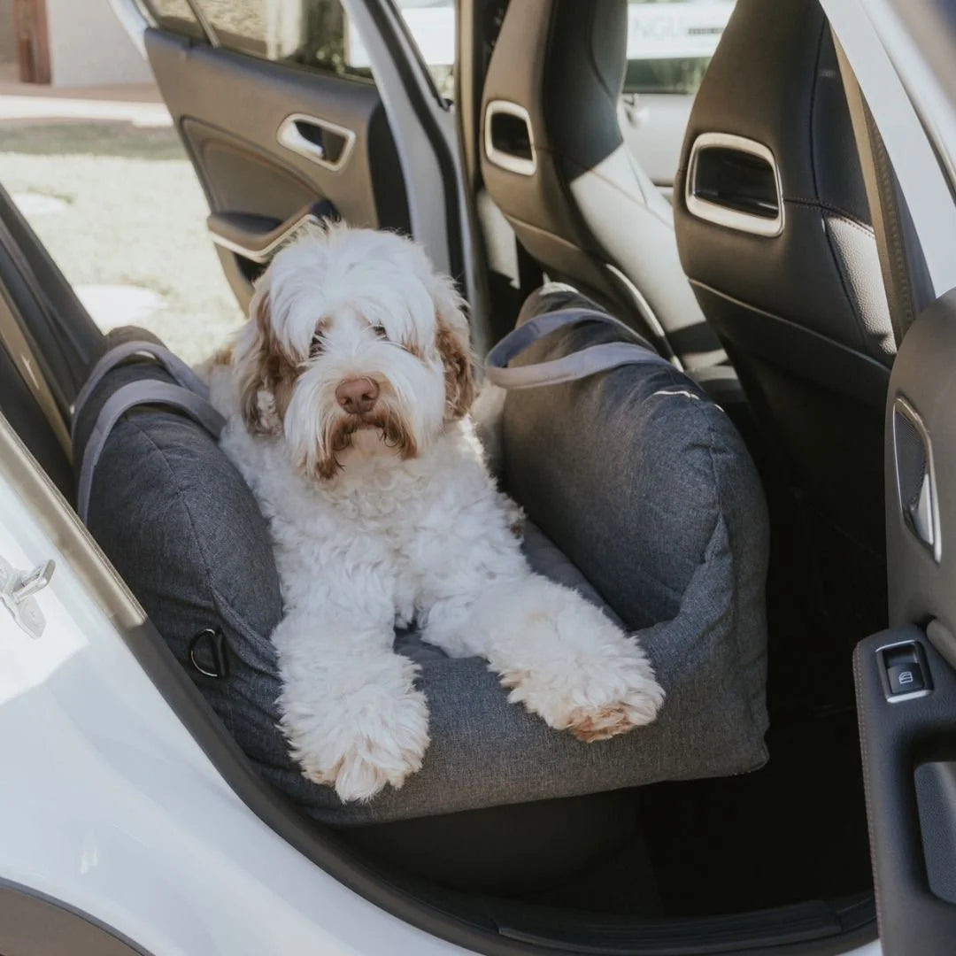 DogBeds-PremiumDogCarBed9.jpg