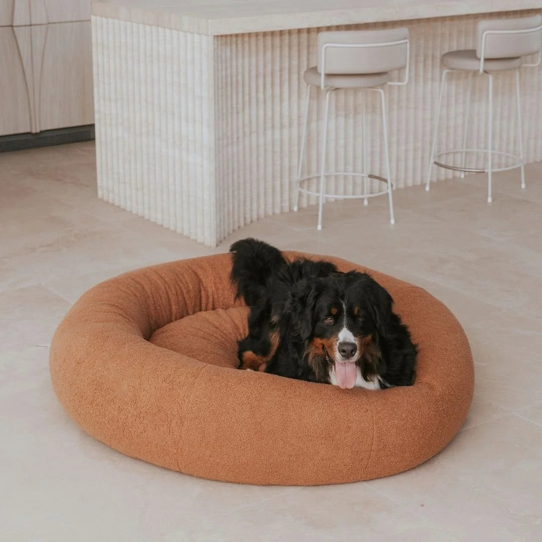 DogBeds-PremiumTeddy3.jpg