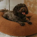 DogBeds-PremiumTeddy6.jpg