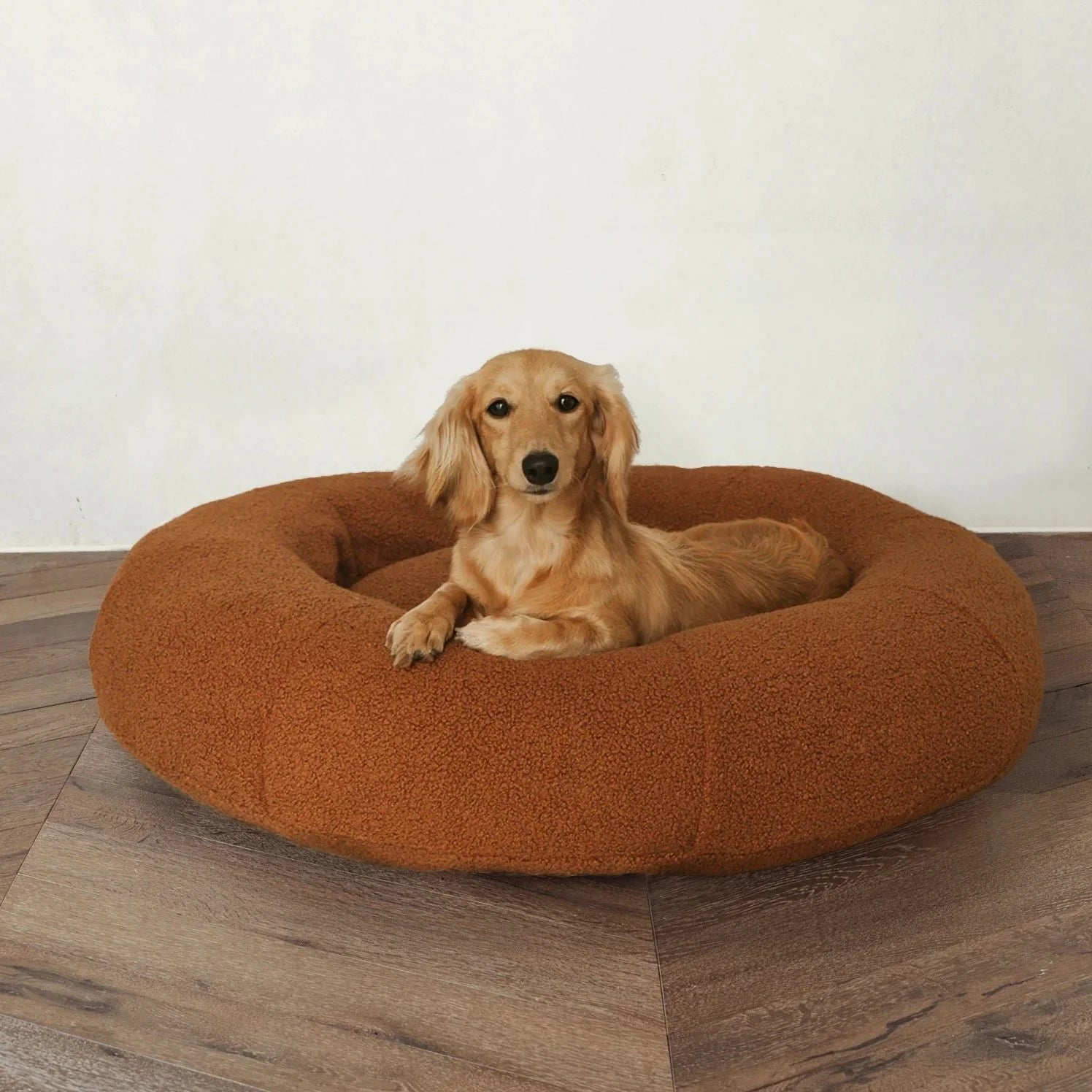 teddy-bed_copy1.jpg