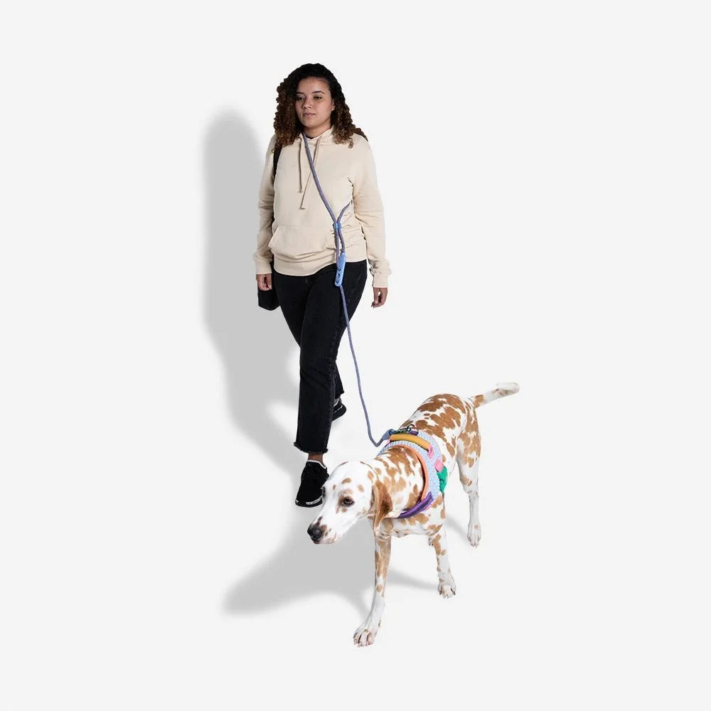 zeedog-dog-leashes-hands-free-leash-andromeda_main-4.jpg