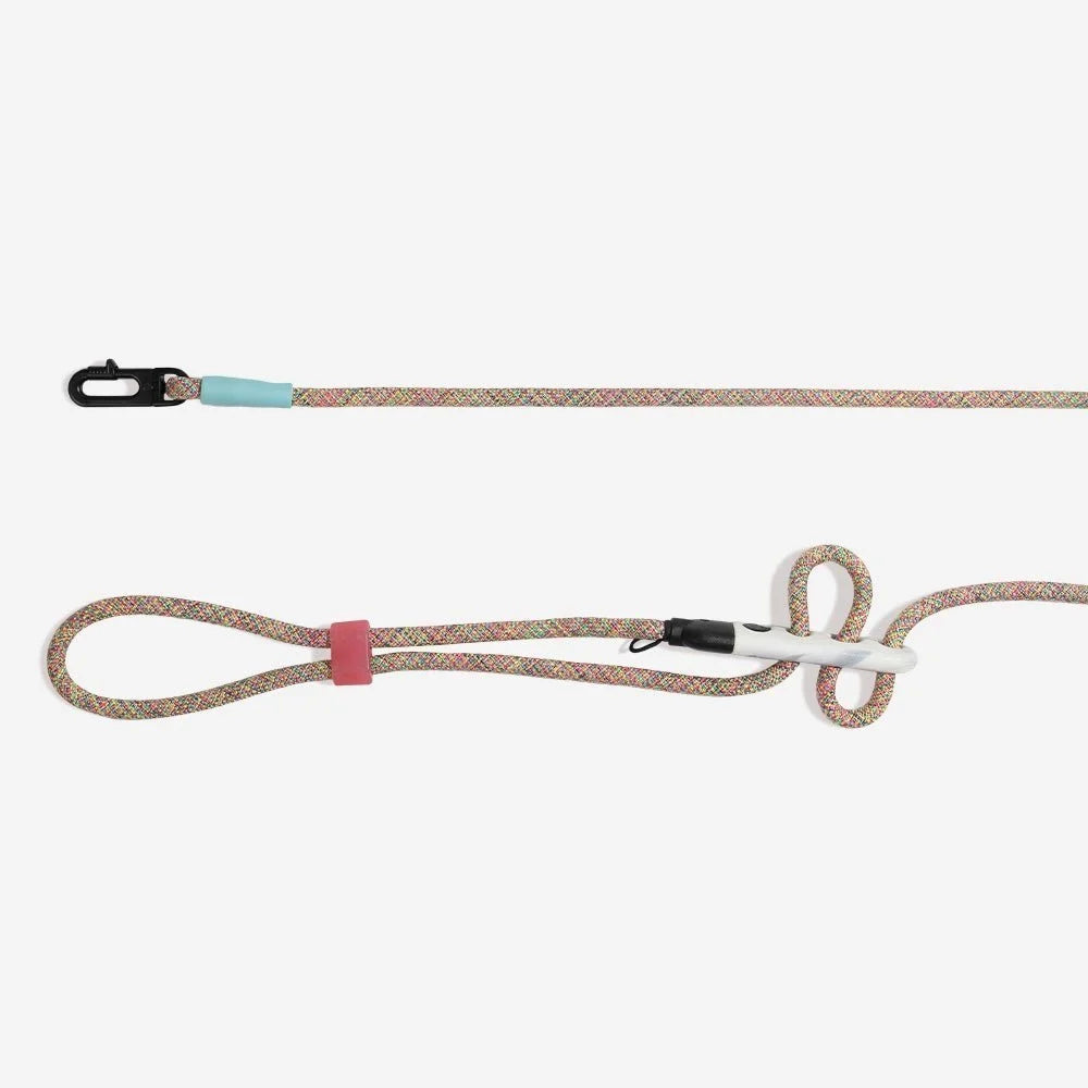 zeedog-dog-leashes-hands-free-leash-gravity_main-2.jpg