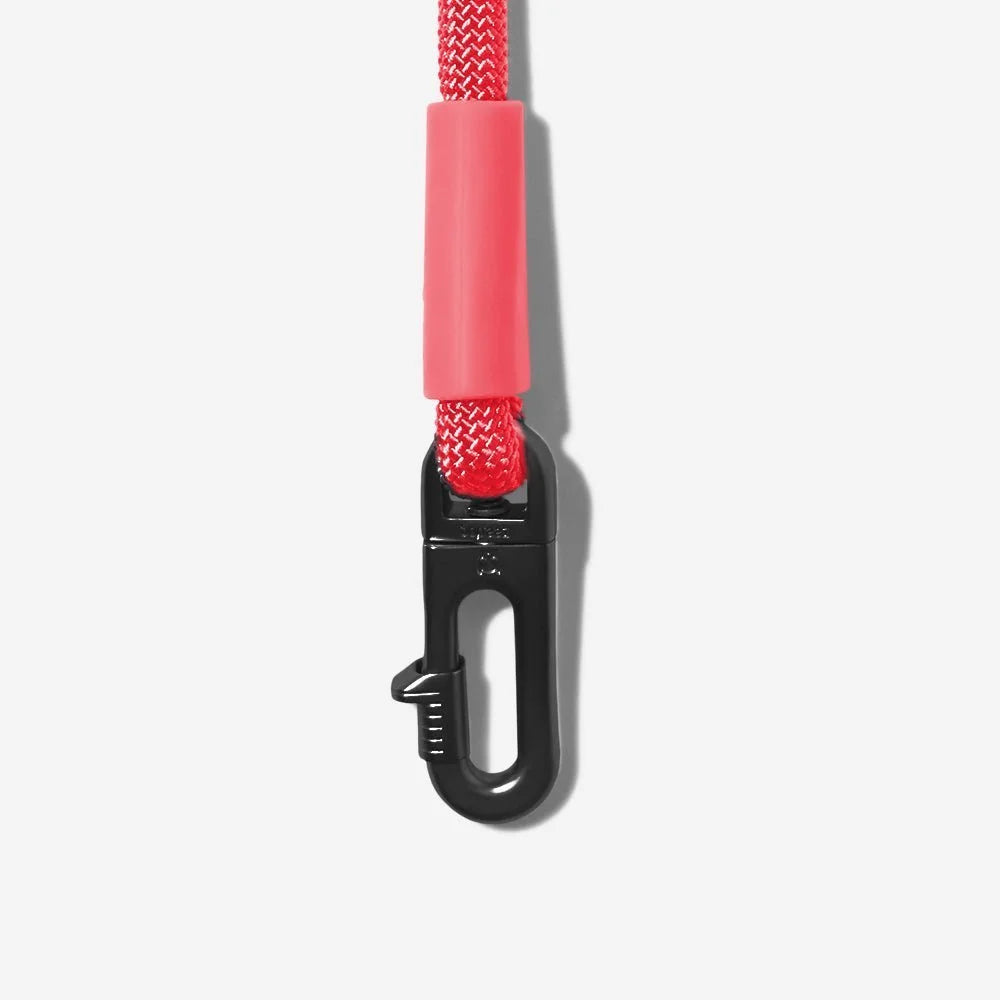 zeedog-dog-leashes-hands-free-leash-neon-coral_main-8.jpg