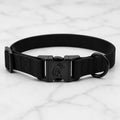 Black dog collar with buckle and ring on white marble surface close-up
