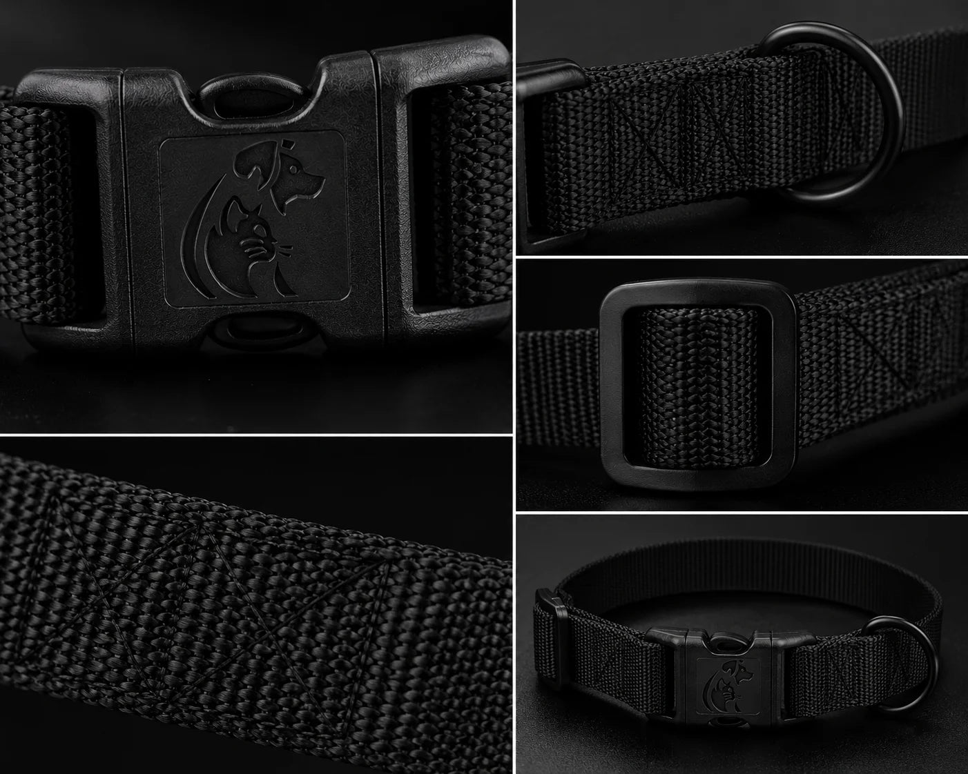 Black nylon dog collar with buckle and D-ring close-up
